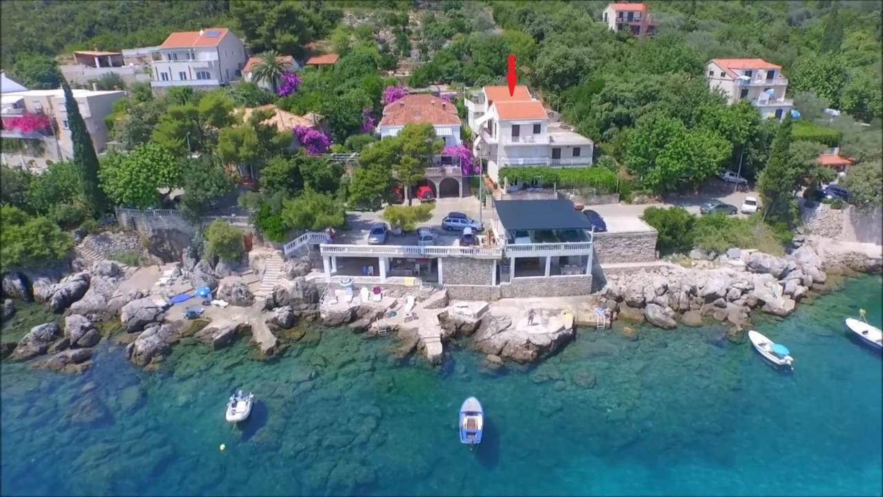 Apartments Miovic Молунат Экстерьер фото